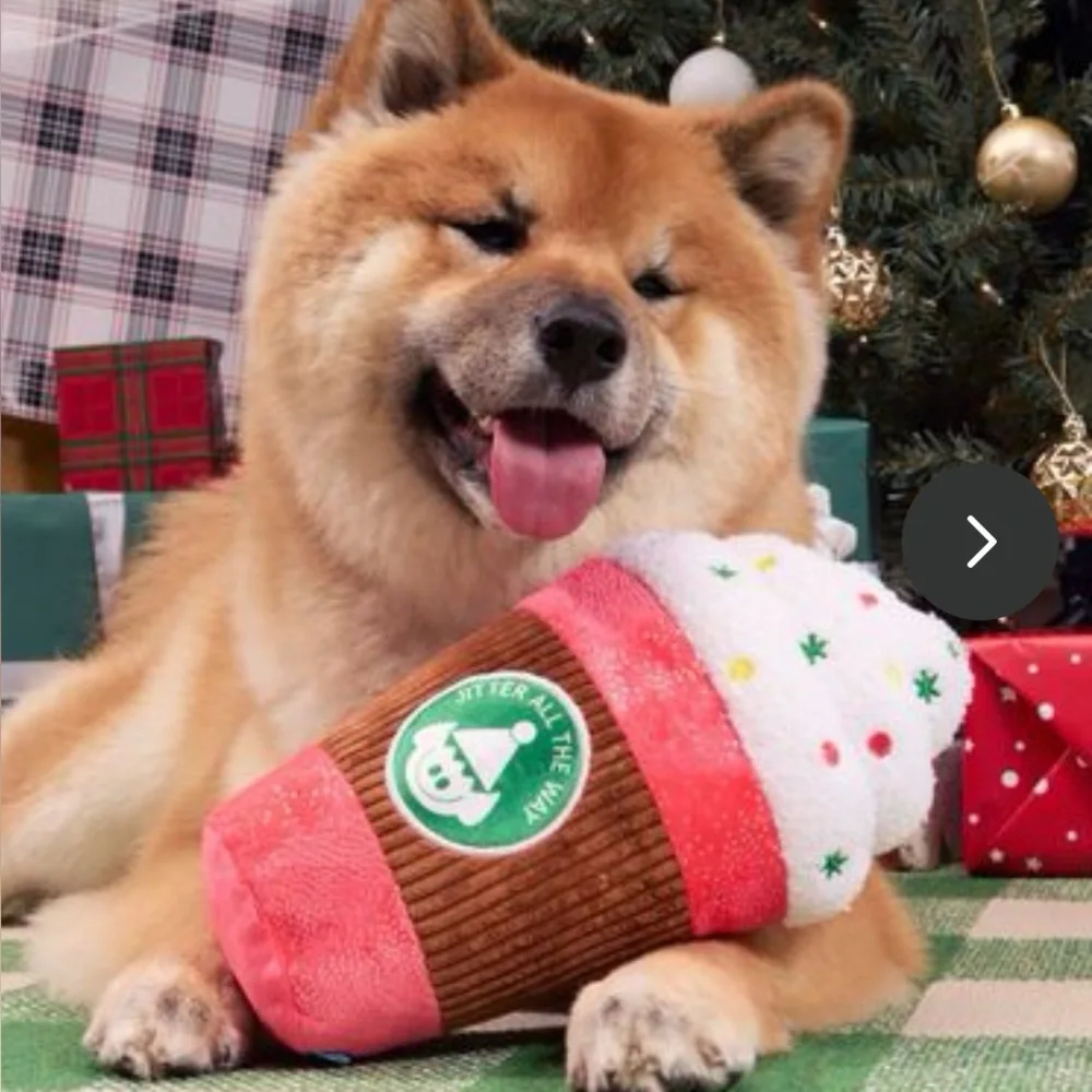 Bark Box XL Puppermint mocha latte dog toy NEW